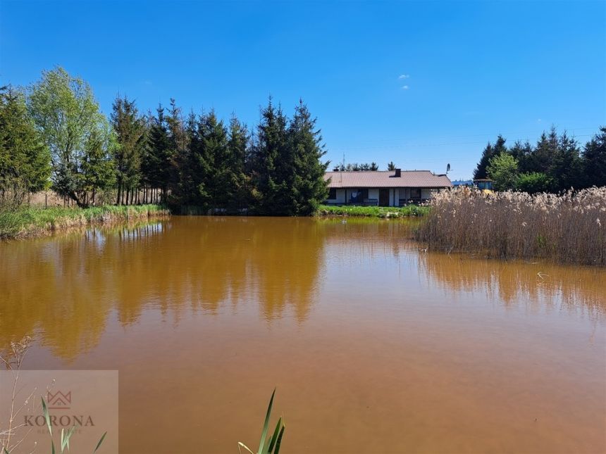 Zainwestuj w gotowy biznes na Podlasiu miniaturka 11