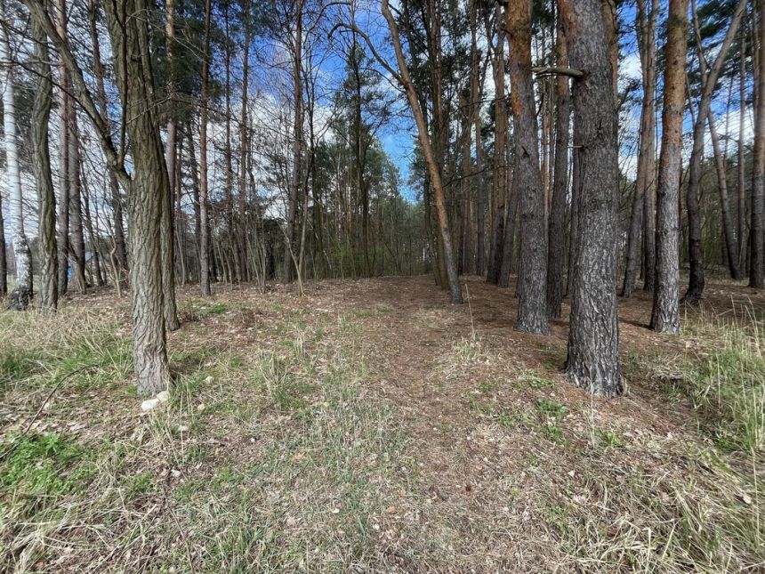 Atrakcyjna działka 2618 m2 w Oblasach-Księżę. miniaturka 5