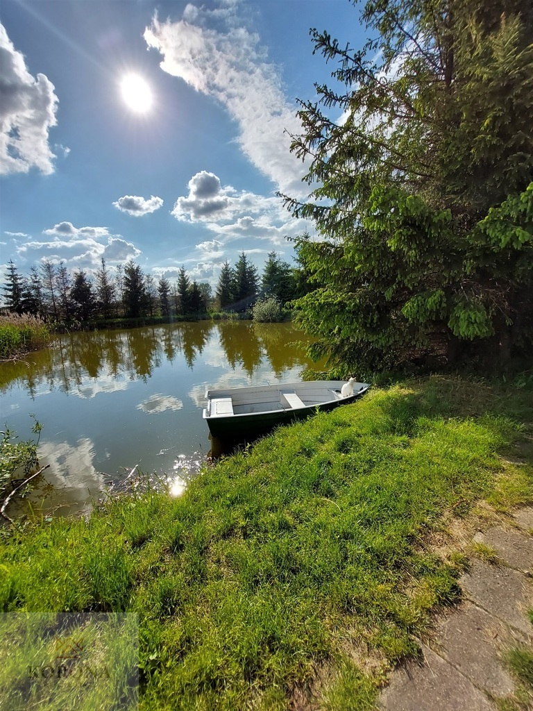 Zainwestuj w gotowy biznes na Podlasiu miniaturka 5