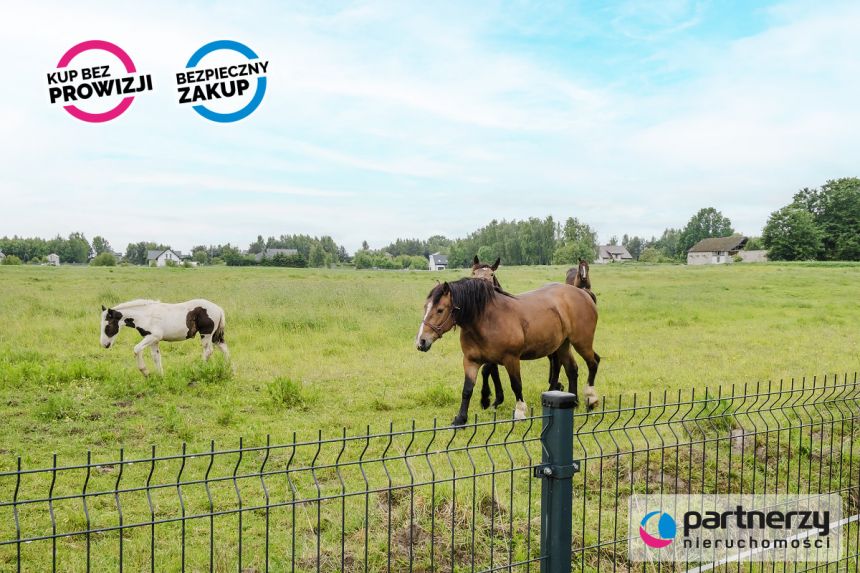 Banino, 1 249 000 zł, 129.77 m2, bliźniak miniaturka 18