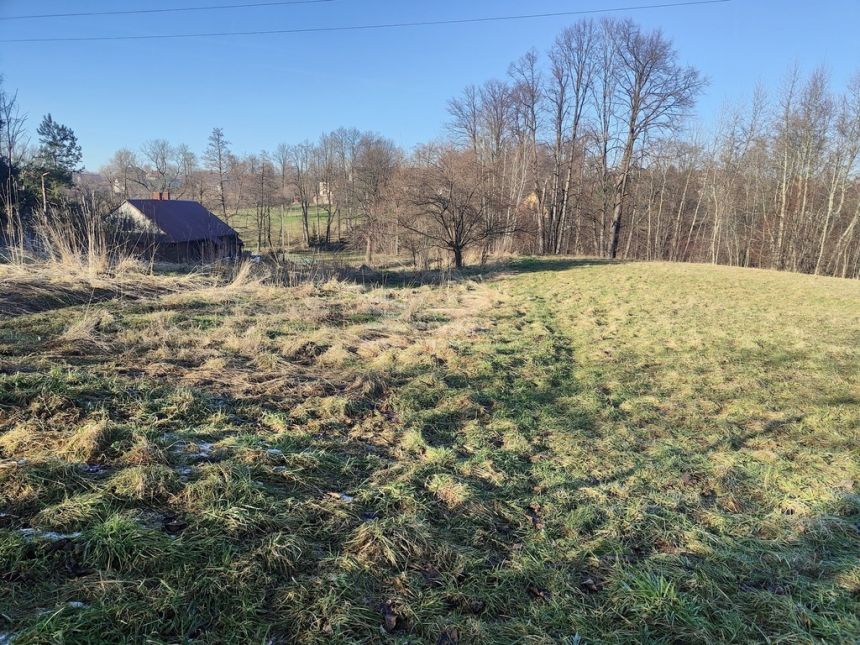 NOWA CENA Duża działka pod lasem miniaturka 2