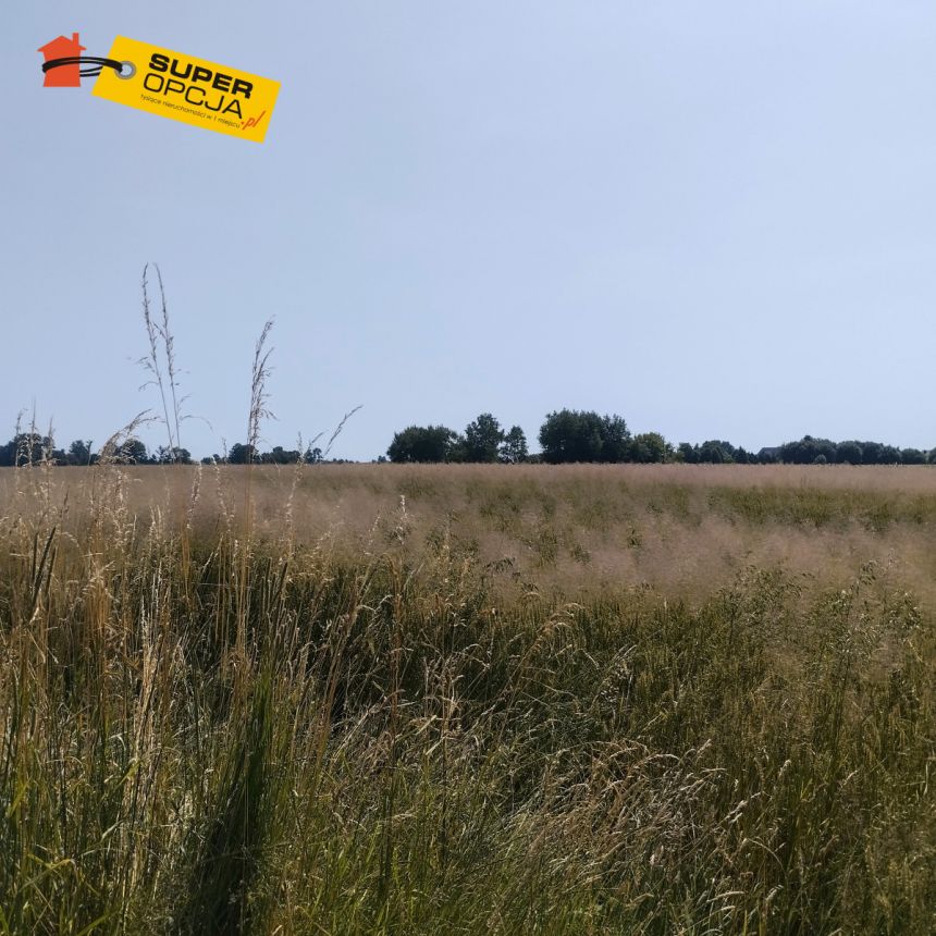 Mogilany, 2 835 000 zł, 64.59 ar, droga dojazdowa utwardzona miniaturka 2