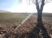 Błonie 9030m2 | Powstańców | MPZP-15MU | Media! miniaturka 9