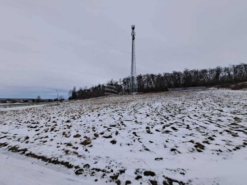 wynajem długoterminowy działki budowlanej miniaturka 5