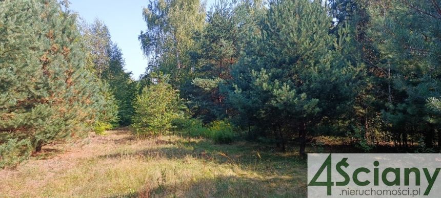 Zalesie, 3 420 000 zł, 1.9 ha, prostokątna miniaturka 3