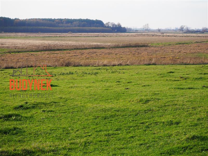 Działka rolna - Krupy miniaturka 2