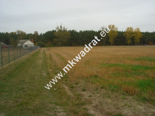 Działki Nowe Mistrzewice 1485m k/Sochaczewa miniaturka 2