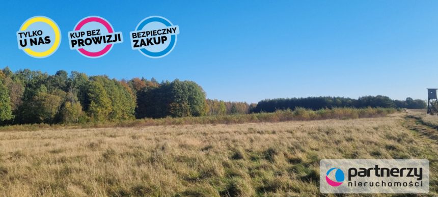 Bieszkowice, 500 000 zł, 2.69 ha, siedliskowa miniaturka 9