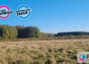 Bieszkowice, 500 000 zł, 2.69 ha, siedliskowa miniaturka 9