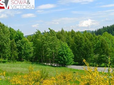 Działka budowlana, 3 km od Wałbrzycha - Promocja!