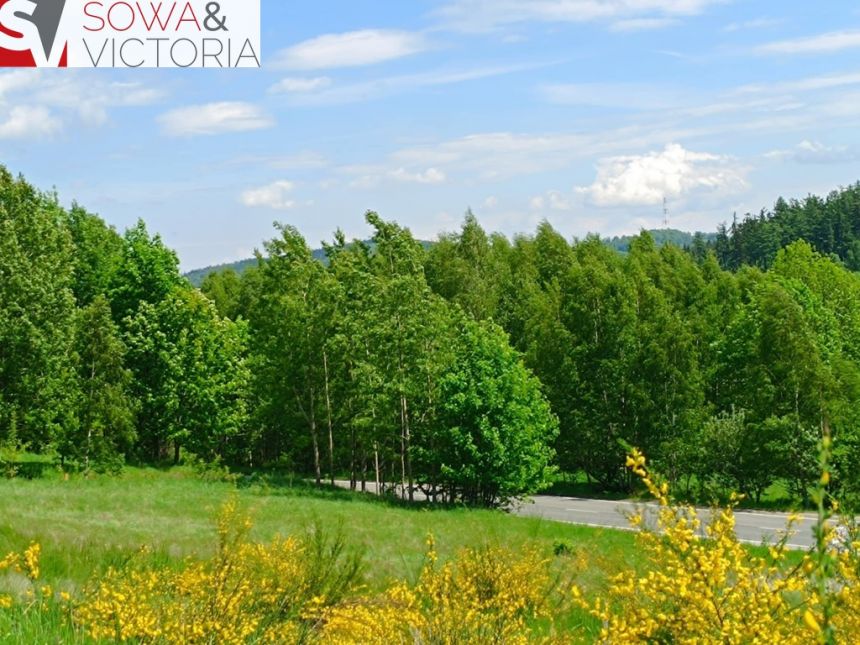 Działka budowlana, 3 km od Wałbrzycha - Promocja! - zdjęcie 1