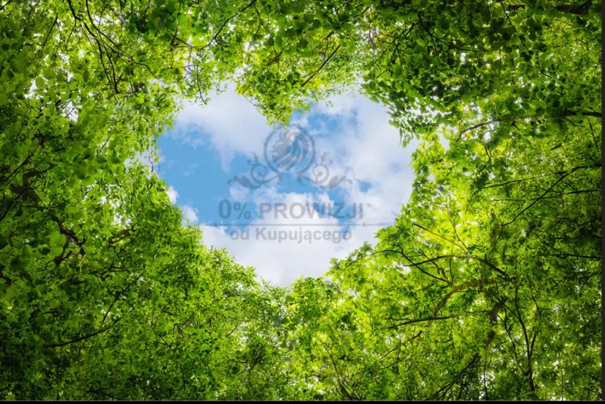 Piękne mieszkanie w doskonałej lokalizacji z balkonem miniaturka 12