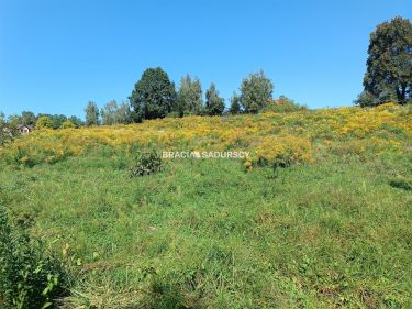 Działka budowlana w Sygneczowie