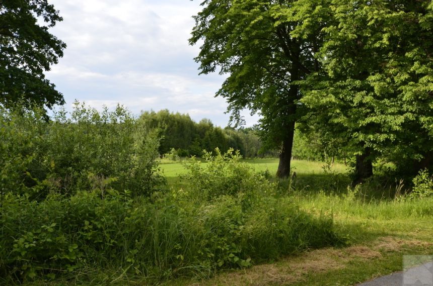 Działki na pięknym roztoczu Krzywe - Horyniec Zdró miniaturka 2