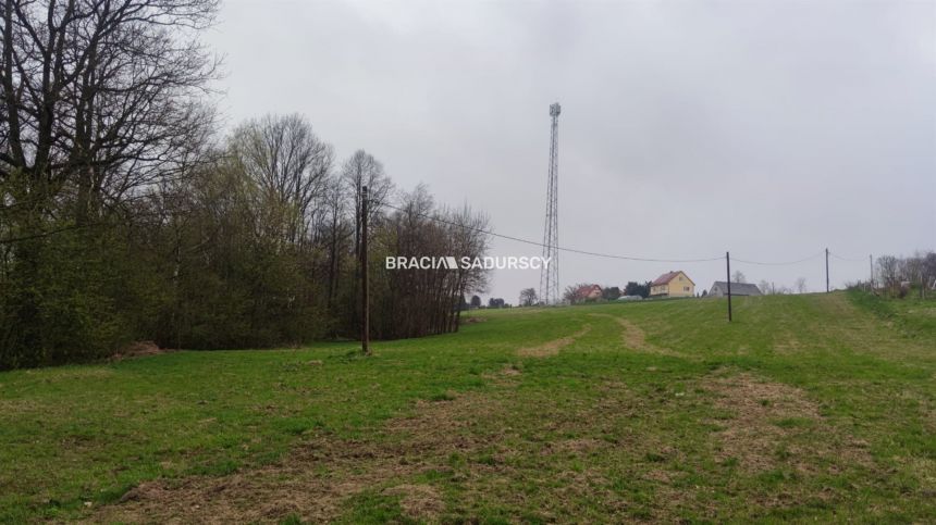 Działka rolna z drewnianym domem Nowa Wieś miniaturka 26