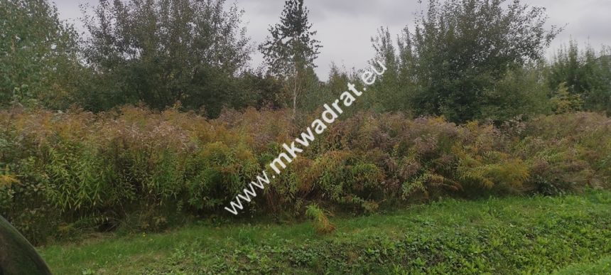 Działka 2435 m Błonie - spokojna i miła okolica miniaturka 5