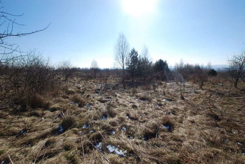 Działka 1000 m2 Mąchocice Kapitulne gm. Masłów miniaturka 6