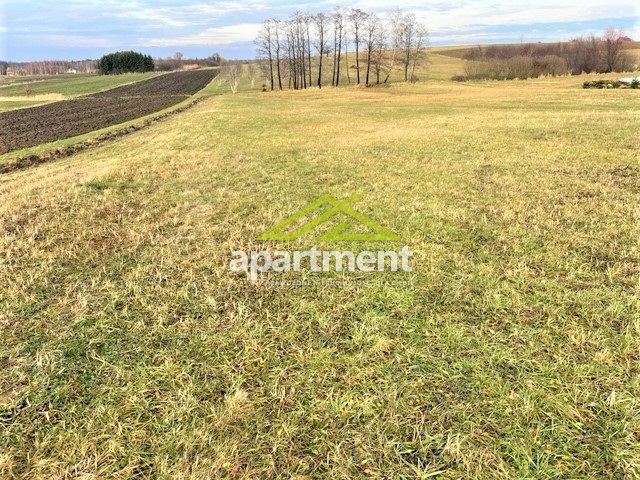 Dąbrowa Tarnowska Bagienica, 94 168 zł, 11.92 ar, budowlana miniaturka 6
