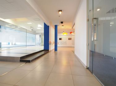 Wrocław Stare Miasto, 27 500 zł, 500 m2, pietro 3, 5