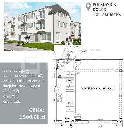 Polkowice, 2 500 zł, 65.73 m2, blok miniaturka 4