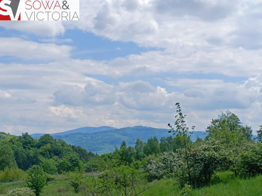 Widok na góry ,  piękny drzewostan. Przy lesie ! miniaturka 1