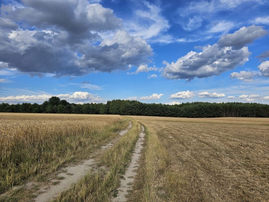 Działki rolne, Leszkowice, gm. Ostrówek miniaturka 7