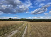 Działki rolne, Leszkowice, gm. Ostrówek miniaturka 7