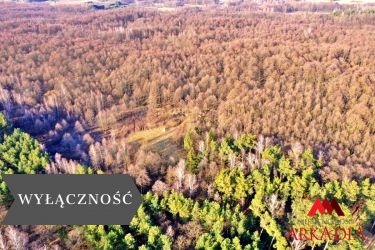 Działka leśna/Wistka Królewska
