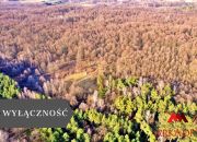 Działka leśna/Wistka Królewska miniaturka 1