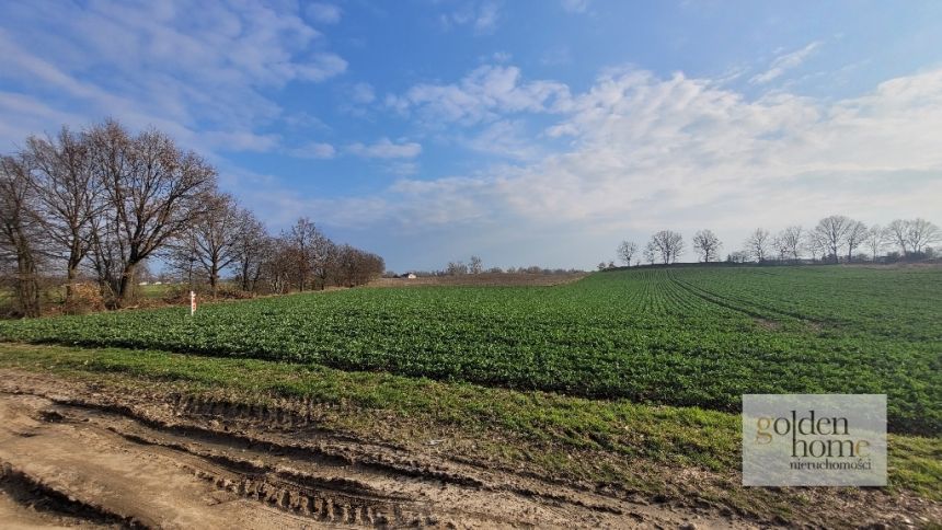 Grzebienisko, 298 000 zł, 25.92 ar, przyłącze prądu miniaturka 9