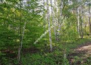 Działka budowlana 6577 m2 Radonie z MPZP miniaturka 5