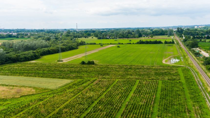 Działka inwestycyjna - wysoki  i szybki zysk miniaturka 3