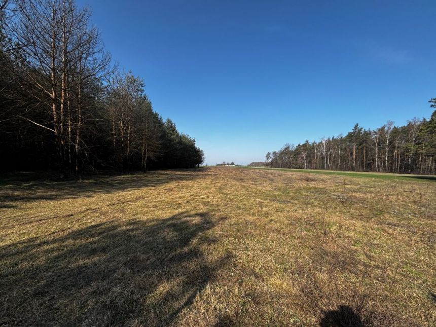 Romanów, 115 000 zł, 9.72 ar, przyłącze prądu miniaturka 3