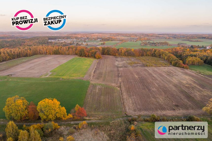 Buszkowy, 130 000 zł, 58 ar, rolna miniaturka 10