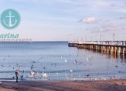 Gdynia Orłowo, 4 000 zł, 44 m2, parter/3 miniaturka 17