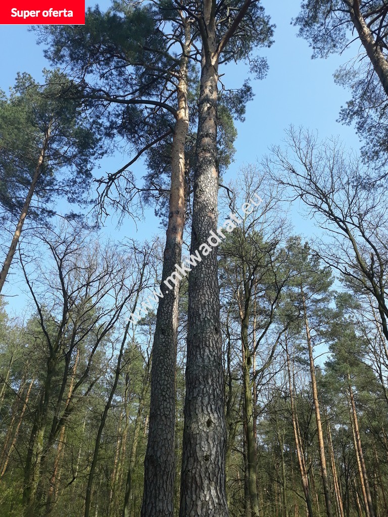 Teren inwestycyjny UZ NADARZYN SuPeR oferta! - zdjęcie 1