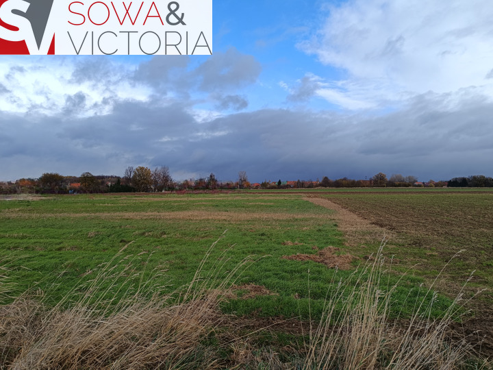 Działka budowlana w obrębie Cierni. Świebodzice. miniaturka 3