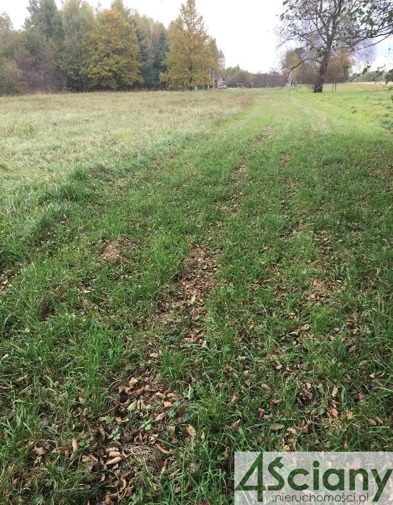 Ciepłe, 1 200 000 zł, 1.54 ha, o nieregularnym kształcie miniaturka 8