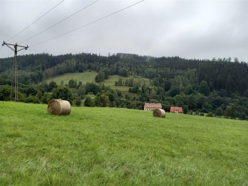 Wodociąg i prąd na widokowej działce miniaturka 4