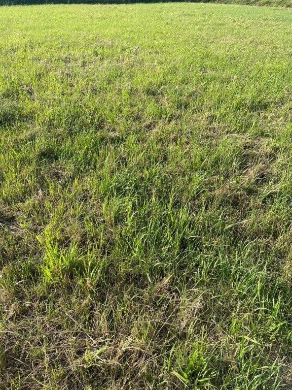 Sianożęty, 51 000 zł, 3 ar, przyłącze wodociągu - zdjęcie 1