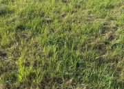 Sianożęty, 51 000 zł, 3 ar, przyłącze wodociągu miniaturka 1