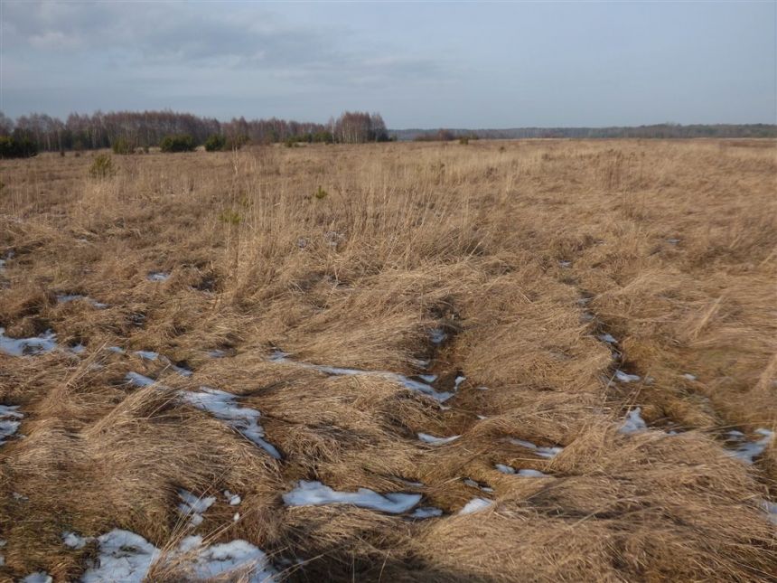 DZIAŁKA ROLNA 1,49 HA, ŁĘKAWA miniaturka 4