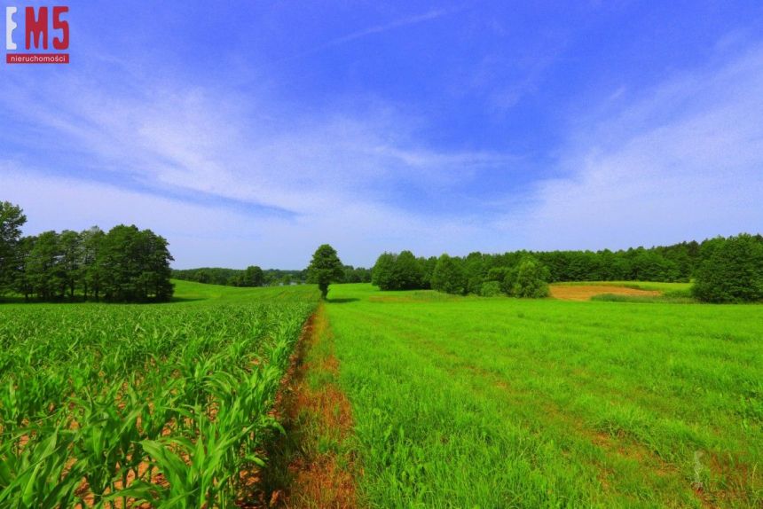 Klejwy, 230 000 zł, 56.07 ar, rolna - zdjęcie 1