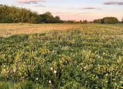 Święcice, 900 000 zł, 20 ar, woda w drodze miniaturka 4
