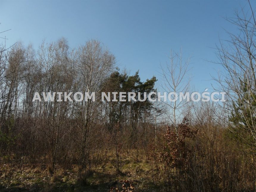 Rzymiec, 270 000 zł, 40 ar, przyłącze elektryczne miniaturka 5