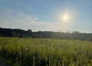 Działka z widokiem na las. miniaturka 1