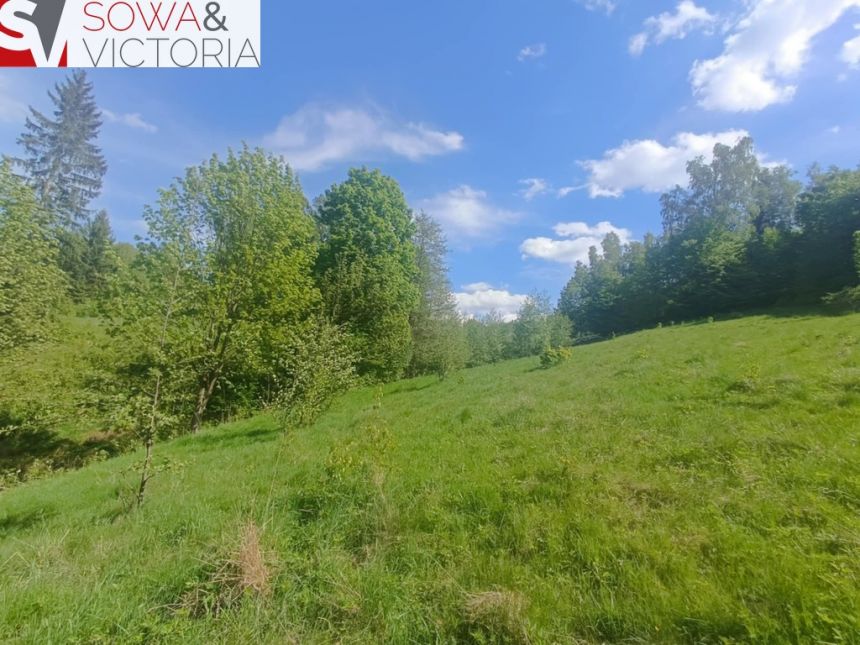 Widokowa działka w sąsiedztwie jeziora - ok 1 km miniaturka 5