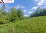 Widokowa działka w sąsiedztwie jeziora - ok 1 km miniaturka 5
