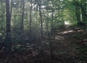 Pisarzowice, 399 000 zł, 94.67 ar, woda w drodze miniaturka 14