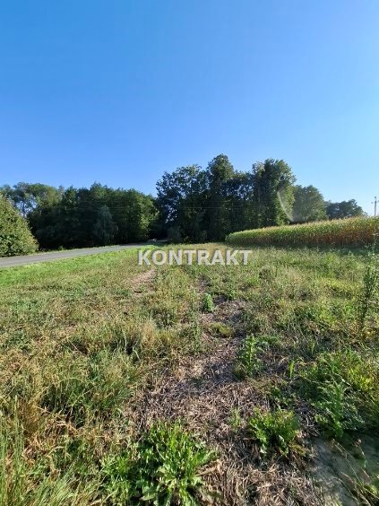 Trzy działki budowlane w Głębowicach. miniaturka 5